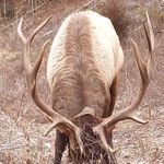 Donald Justus - @justusdonald798 - Instagram