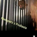 Donald Kaczyński - @polskiejaja - Instagram