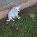 Donald Keating - Facebook