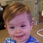 Donald Kees - @donaldkees - Instagram