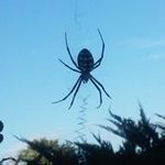 Donald Keffer - @donaldkeffer - Instagram