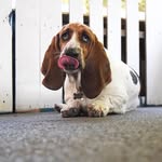 Donald kent - @bruno_ken11 - Instagram