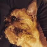 Donald kent - @donaldkent5828 - Instagram