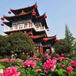 Donald Kent - @donaldkent482 - Instagram