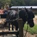 Donald Key - Facebook