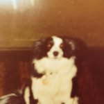 Donald Killian - @killer1934 - Instagram