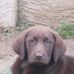 Don Kilpatrick - Facebook
