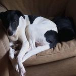 Donald Bellers-kimble - @d0nald_bellers_kimble - Instagram