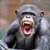 Donald_Kimble - @donald_kimble - TikTok
