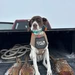Donald Knox - @donaldknox79 - Instagram