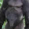 donaldkraft11 - @willyswinger - TikTok