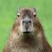 Donald Kramm - Facebook