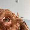 Donald Labrie - @mister.do - TikTok