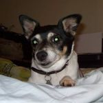 Donald Landers - @landers_donald - Instagram