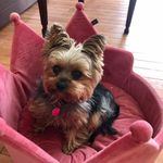Brenda Mac Donald LaPierre - @brendamacdonaldlapierre - Instagram