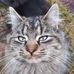 Donald Lapointe - Facebook