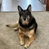 Donald Larkin - @donald.larkin5 - TikTok