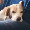 donaldlarkin - @donald.larkin - TikTok
