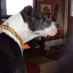 Elaine Mc Donald-Larkin - @mcdonaldlarkin - Instagram