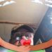 Donald Liles - Facebook