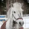 Lilly_donald - @lilly_donald - TikTok