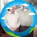 Donald Locklear - Facebook