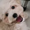 donaldlum12345 - @donaldlum12345 - TikTok