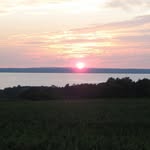 Donald Lyon - @donaldlyon98 - Instagram