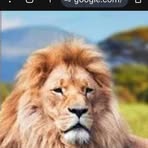 Donald Lyon - Facebook