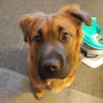 Donald MacGregor - @donald.macgregor.10 - Instagram