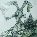Donald Macgregor - @donald.macgregor3 - Instagram