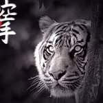 Donald Magee - @donald.magee.73 - Instagram