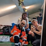 Donald Major - @bac_dolan - Instagram