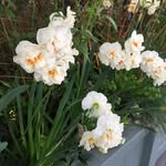 Donald Mann - @donaldmann521 - Instagram