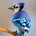 Donald Mann - Facebook