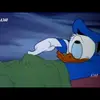 DonaldMan - @donaldmanner - TikTok
