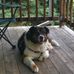 Donald Markham - Facebook