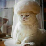🔜⚫↘Мирзоев=(Libra)↖⚫🔚 - @donald_master0.3.0.0 - Instagram
