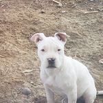 Donald Mather - @donald.mather.7545 - Instagram