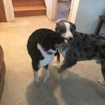 Donaldmather - @d_o_n_a_l_d_mather - Instagram