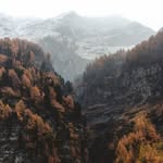 Donald Matlock - @matlock3555 - Instagram