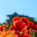 Donald Max - Facebook