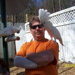 Donald L McCarty - @goldwingdon79 - Instagram
