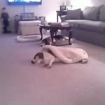 Donald McCray - @clicker914 - Instagram