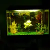 Donald McCray - @donald.mccray - TikTok