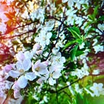 Donald Mccray - @donaldmccray55 - Instagram