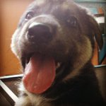 Donald McDowell - @hulkiawest - Instagram