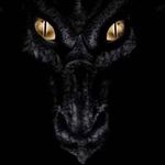 Donald Mcduff - @dragon_slayer253 - Instagram
