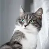 Donald Mcduffie - @donald.mcduffie6 - TikTok