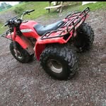 Donald Mcgrath - @donaldmcgrath86 - Instagram